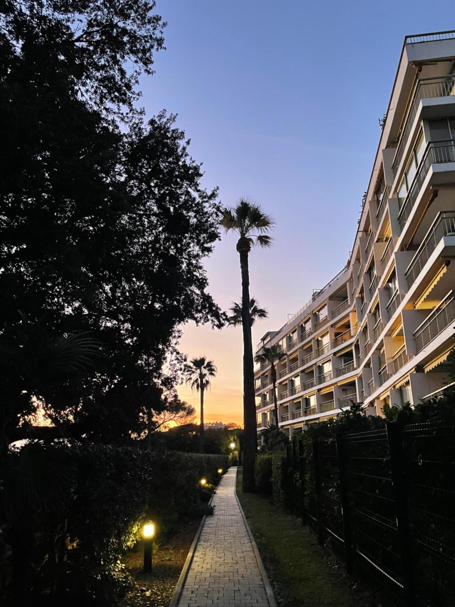 C037-Nice Studio With Garden And Parking - Near Beach Cannes Eksteriør bilde